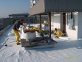 IM007246 - 