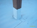 IM007250 - 