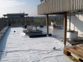 IM007254 - 