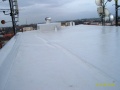 IM007275 - 