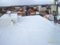 IM007283 - 