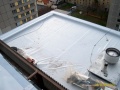 IM007284 - 